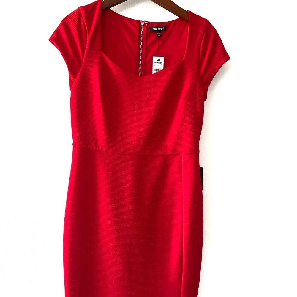 Express fitted dress